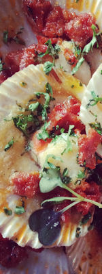 Sandanista Manchester