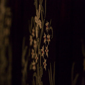 Ning Restaurant Manchester