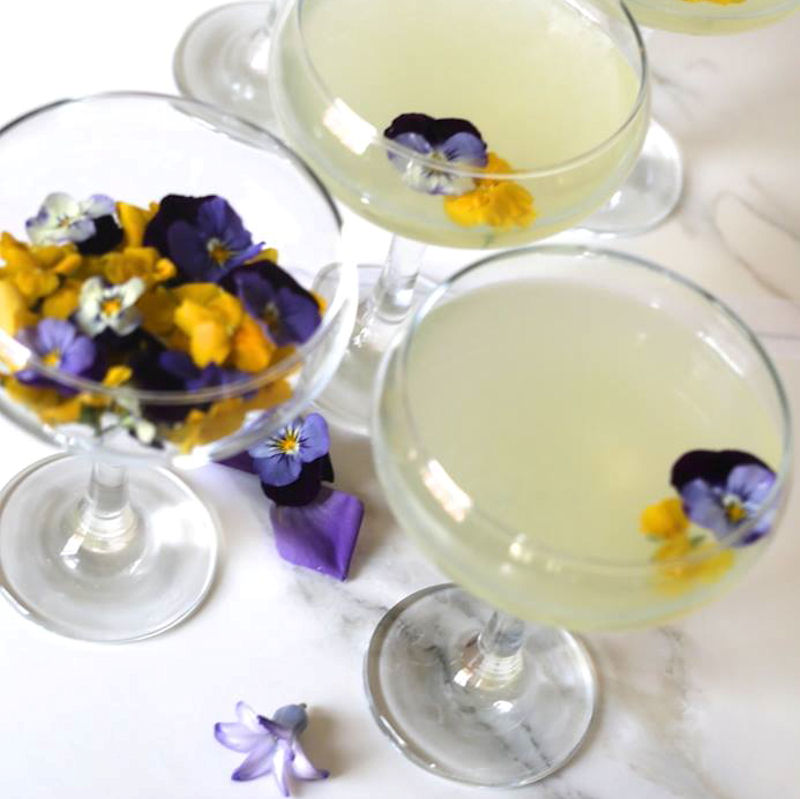 Gusto Didsbury Manchester